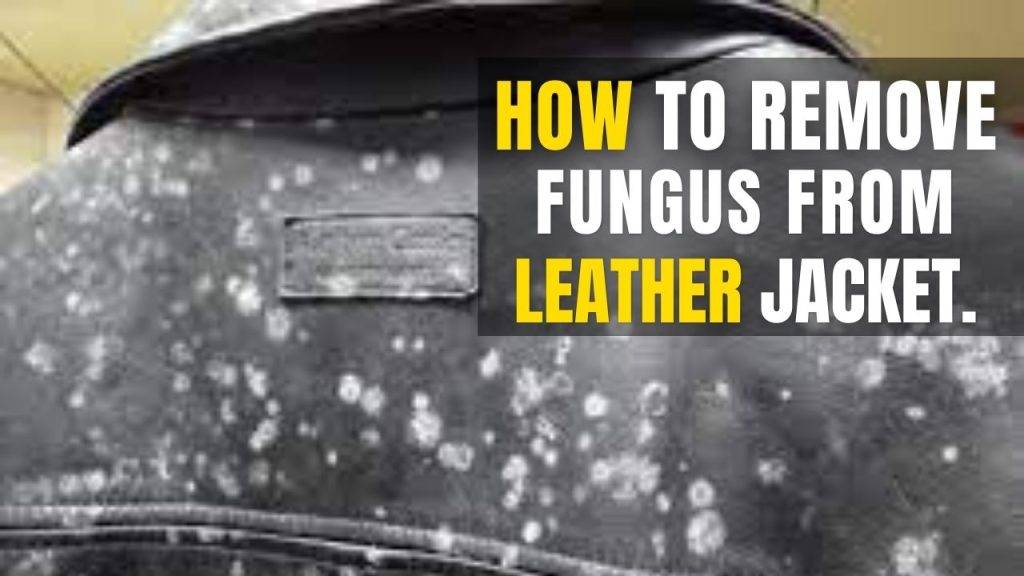 How to Remove Fungus from Leather Jacket
